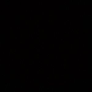 Meet your Posher, Lydia